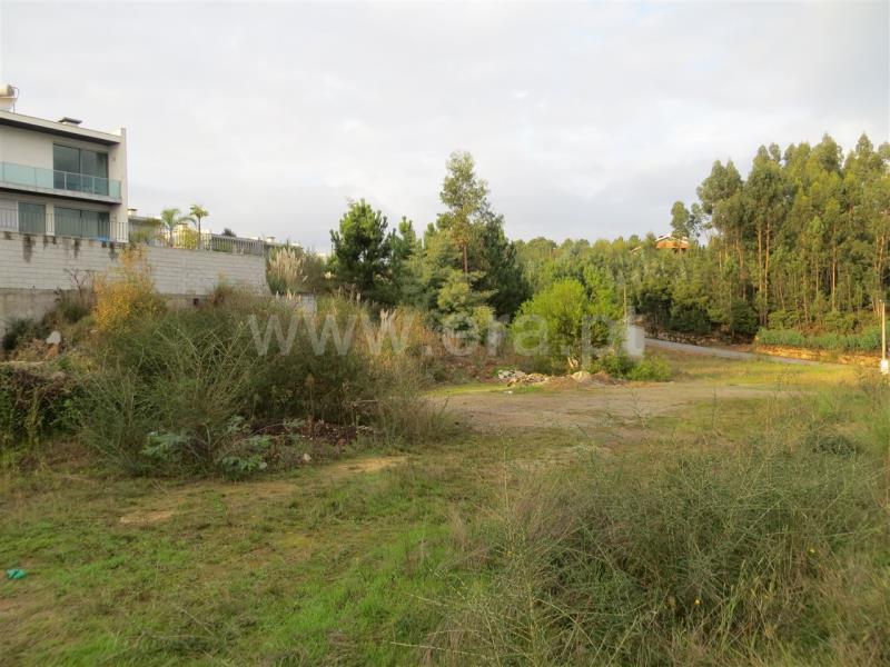 Lote / Santo Tirso, Carreira e Refojos de Riba de Ave