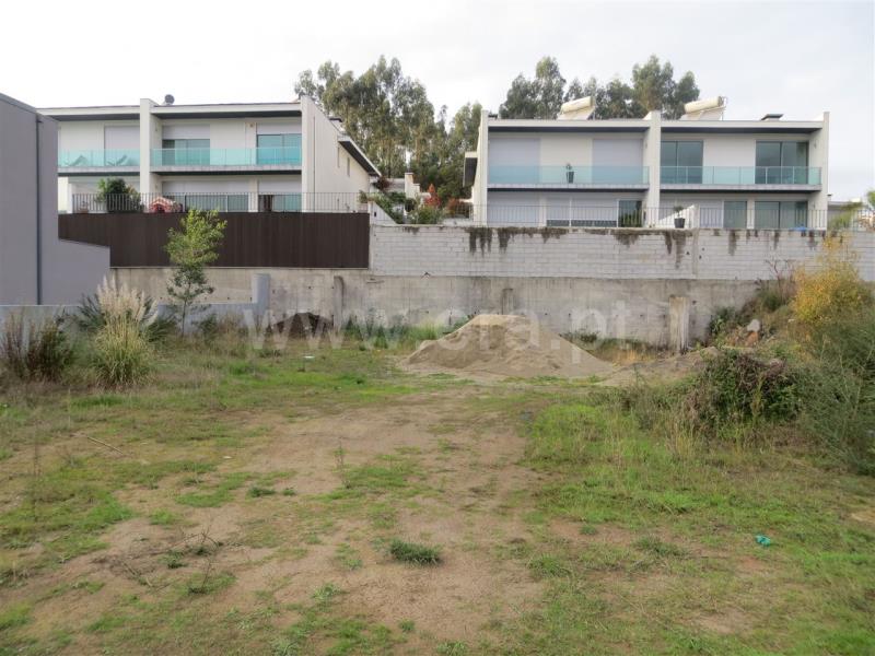 Lote  Santo Tirso, Carreira - 771048 - 10