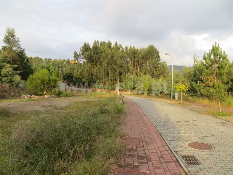 Lote  Santo Tirso, Carreira - 771048 - 11