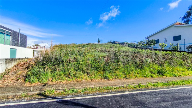 Lote  Santo Tirso, Lamelas e Guimarei - 1475641 - 2