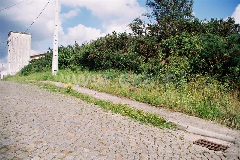 Lote / Santo Tirso, Lamelas e Guimarei