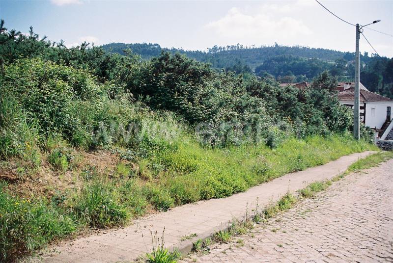 Lote  Santo Tirso, Lamelas e Guimarei - 521558 - 4
