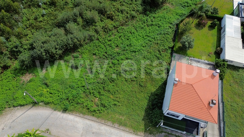 Lote / Santo Tirso, Lamelas