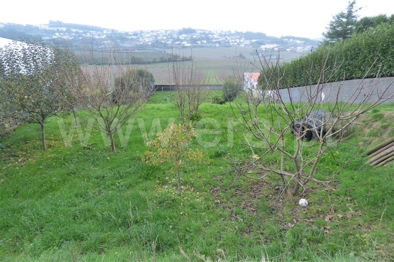 Lote / Santo Tirso, Roriz