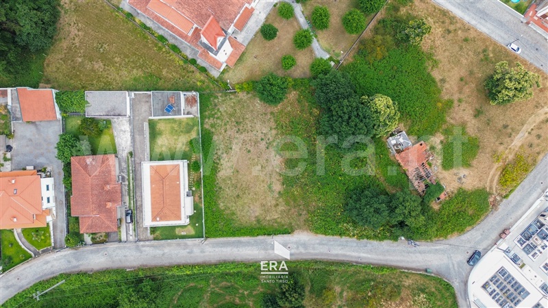 Lote / Santo Tirso, Sequeirô