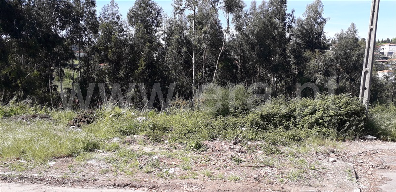 Lote  Santo Tirso, Vila das Aves - 1001861 - 2
