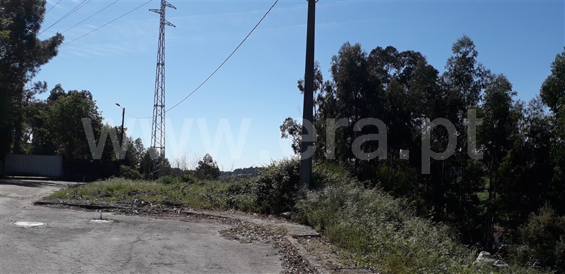 Lote  Santo Tirso, Vila das Aves - 1001861 - 5