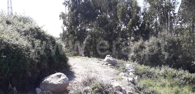 Lote  Santo Tirso, Vila das Aves - 1014999 - 7