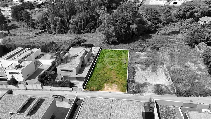 Lote / São João da Madeira, São João da Madeira