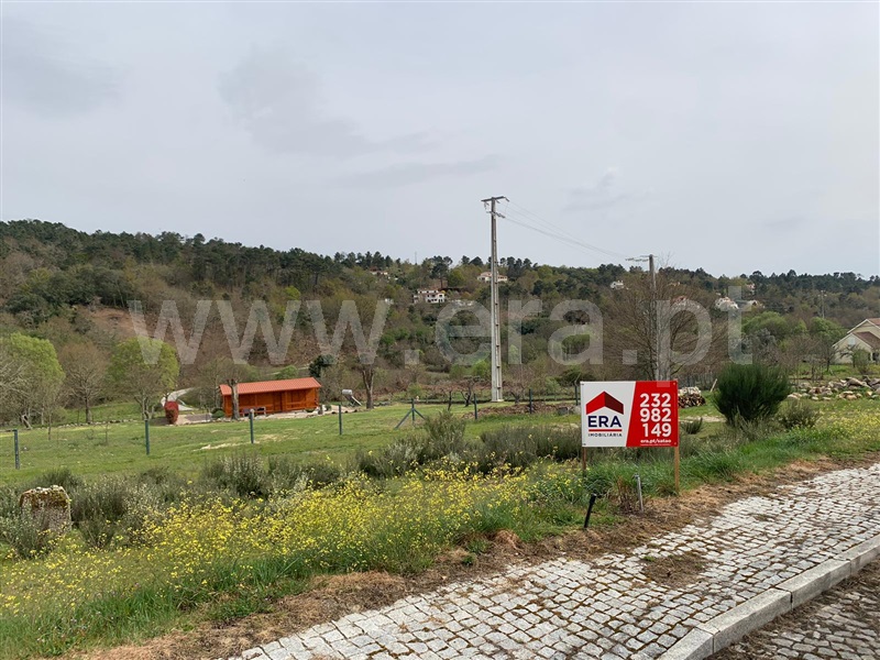 Lote / Sátão, Ferreira de Aves