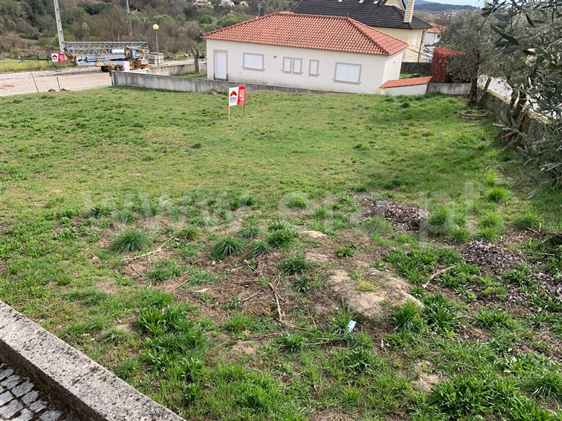 Lote  Sátão, Ferreira de Aves - 1310927 - 2