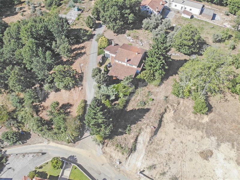 Lote  Sátão - 1426636 - 2