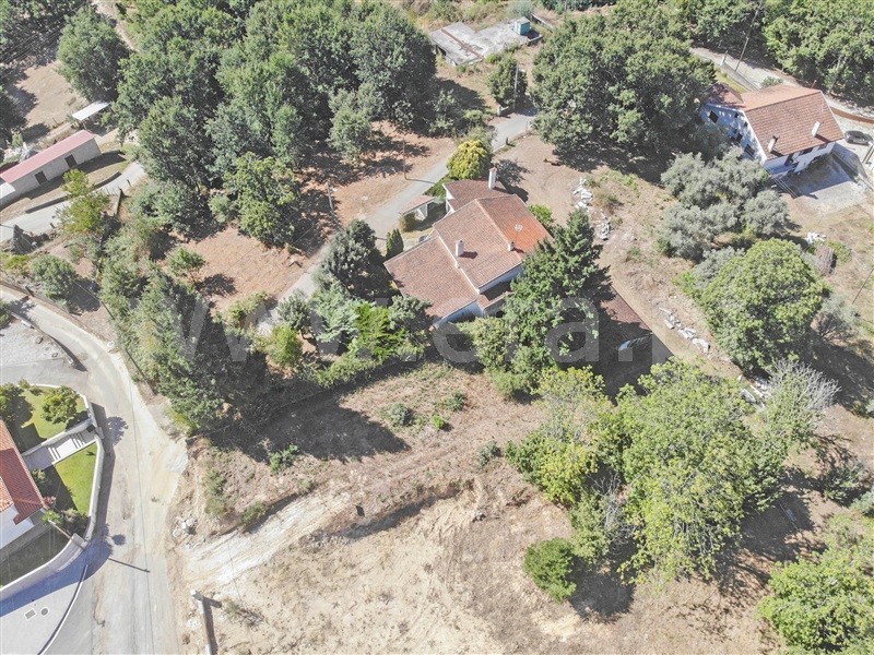 Lote  Sátão - 1426636 - 3