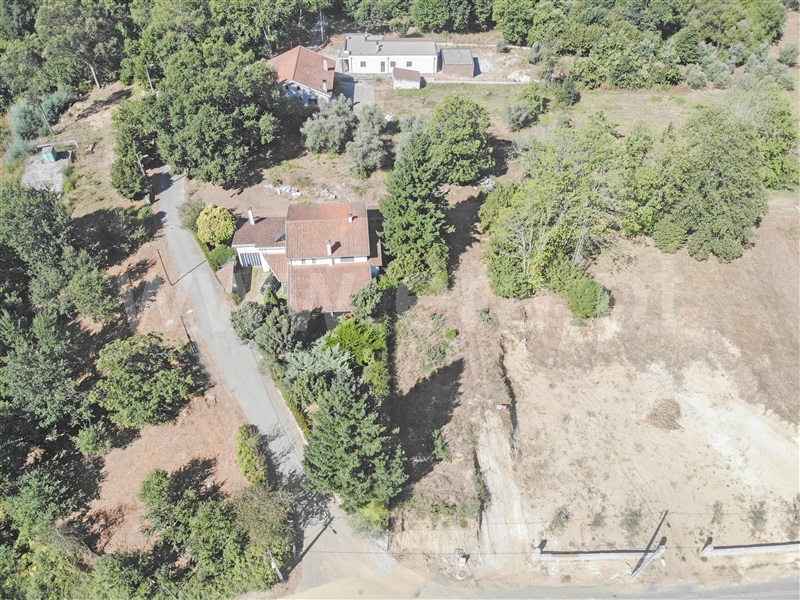 Lote  Sátão - 1426636 - 4