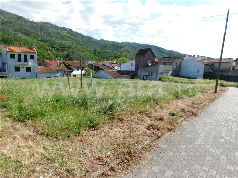 Lote / Seia, Sandomil