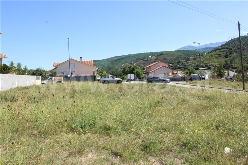 Lote  Seia, Sandomil - 1242105 - 1