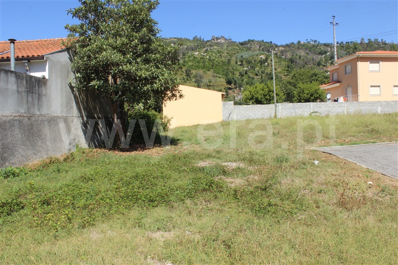 Lote  Seia, Sandomil - 1242105 - 3