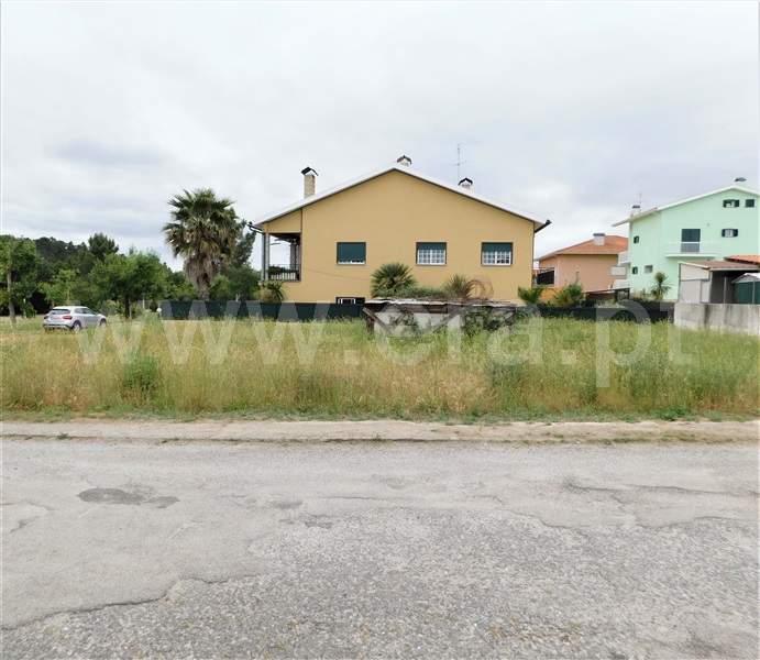 Lote  Seia, Santa Comba - 1254757 - 4