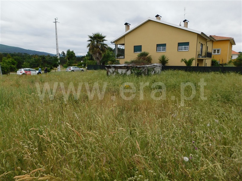 Lote  Seia, Santa Comba - 1254757 - 7