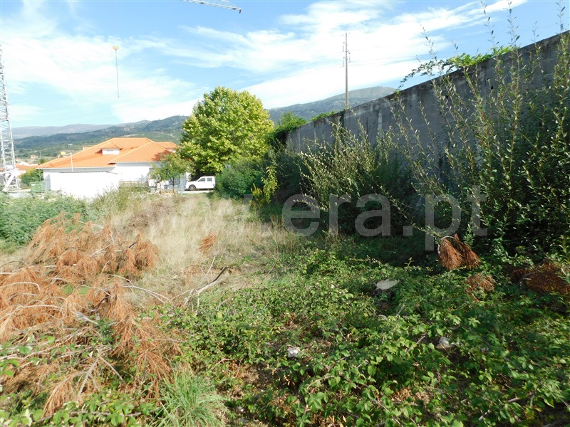 Lote / Seia, Santa Marinha e São Martinho