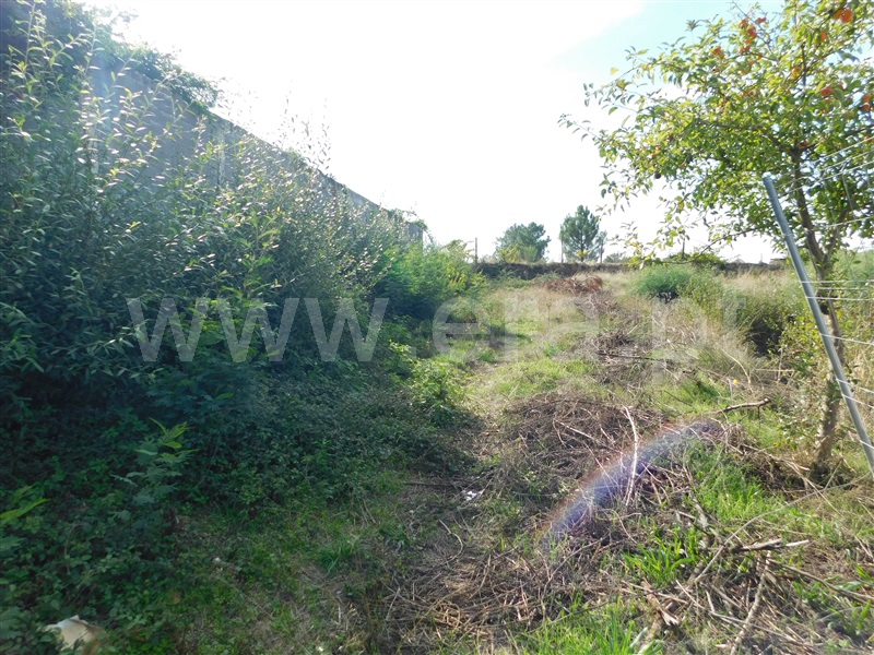 Lote  Seia, Santa Marinha e São Martinho - 1276580 - 4