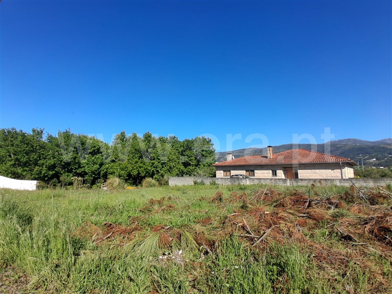 Lote / Seia, Santiago