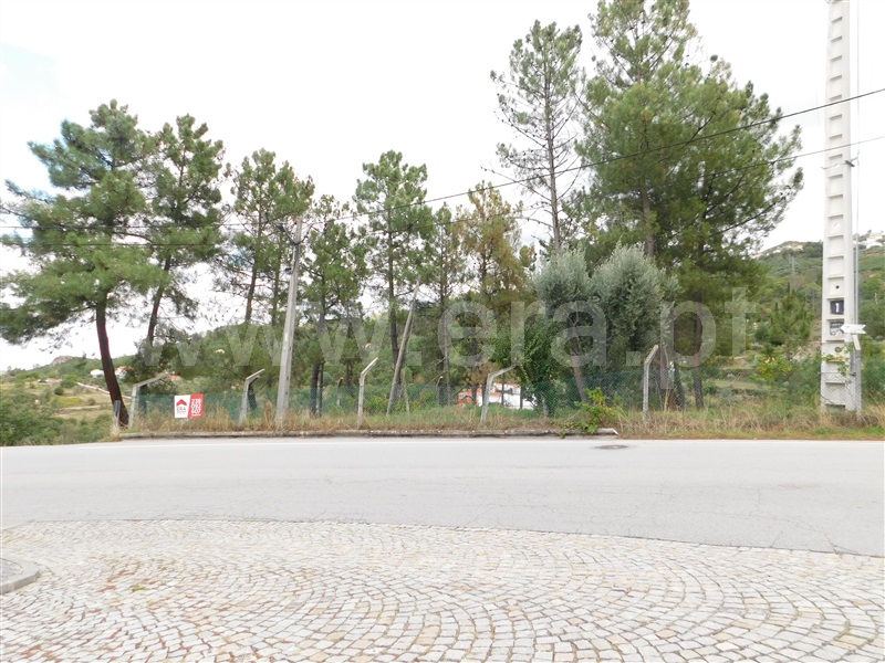 Lote  Seia, Seia, São Romão e Lapa dos Dinheiros - 1277729 - 1