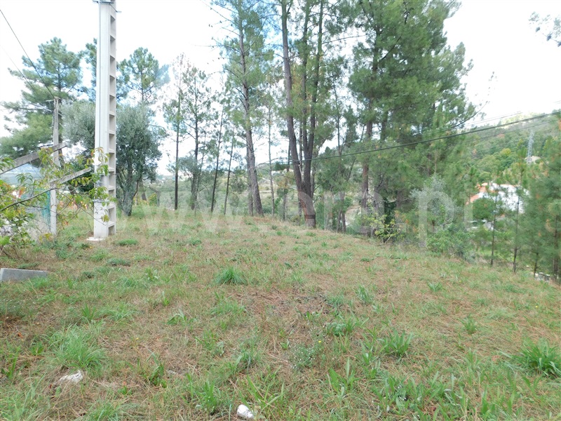 Lote  Seia, Seia, São Romão e Lapa dos Dinheiros - 1277729 - 4