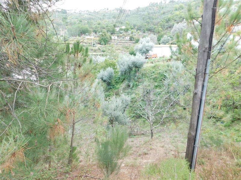 Lote  Seia, Seia, São Romão e Lapa dos Dinheiros - 1277729 - 5
