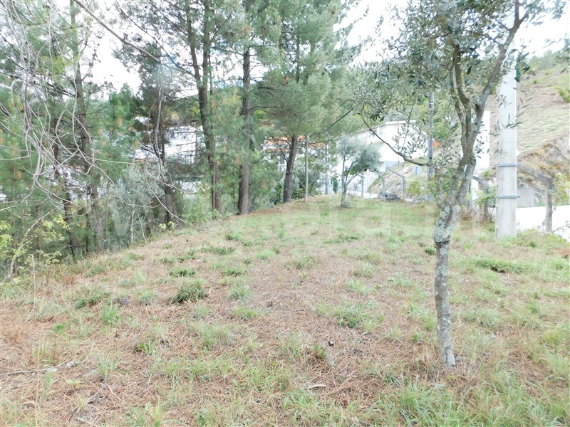 Lote  Seia, Seia, São Romão e Lapa dos Dinheiros - 1277729 - 6