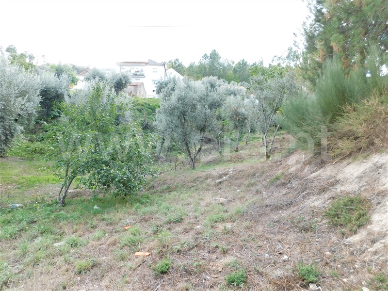 Lote  Seia, Seia, São Romão e Lapa dos Dinheiros - 1277729 - 8