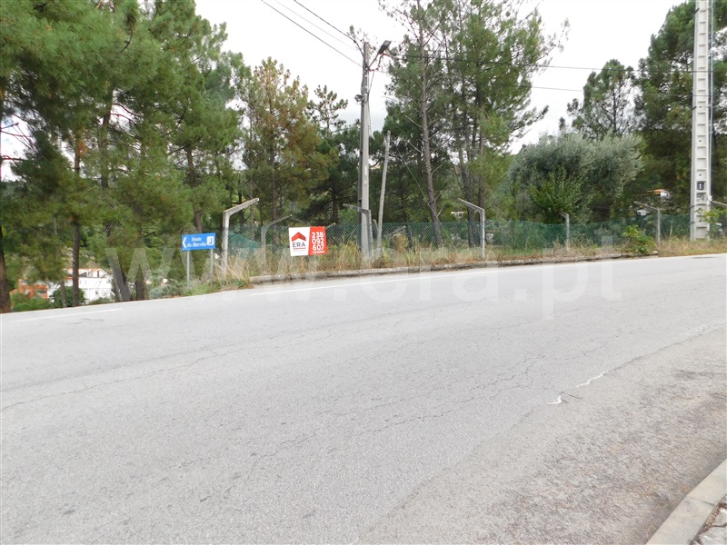 Lote  Seia, Seia, São Romão e Lapa dos Dinheiros - 1277729 - 11