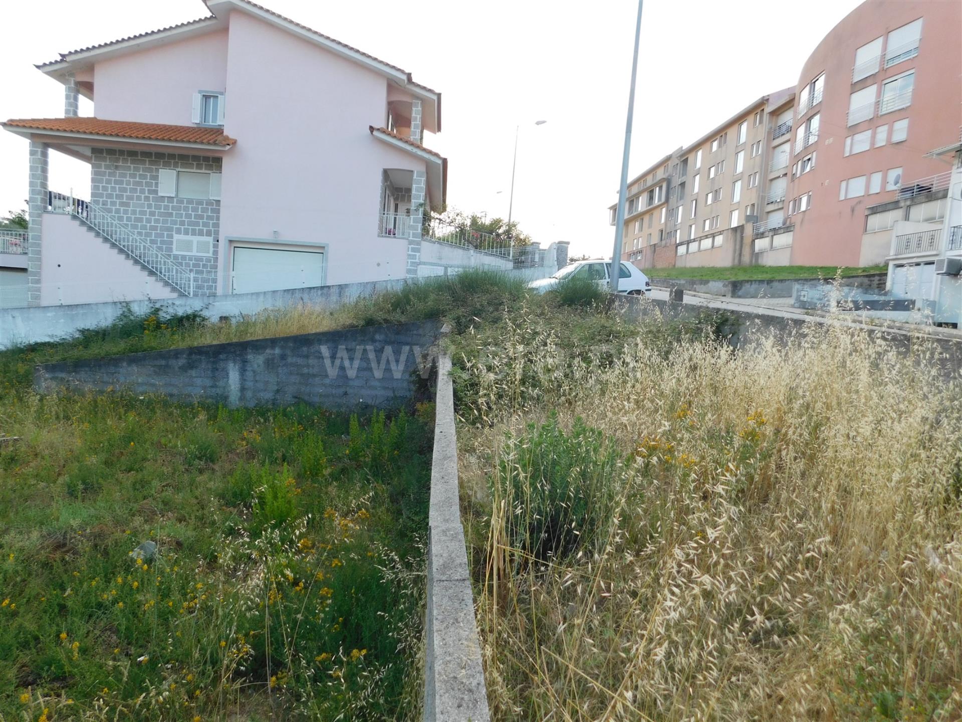 Terreno 