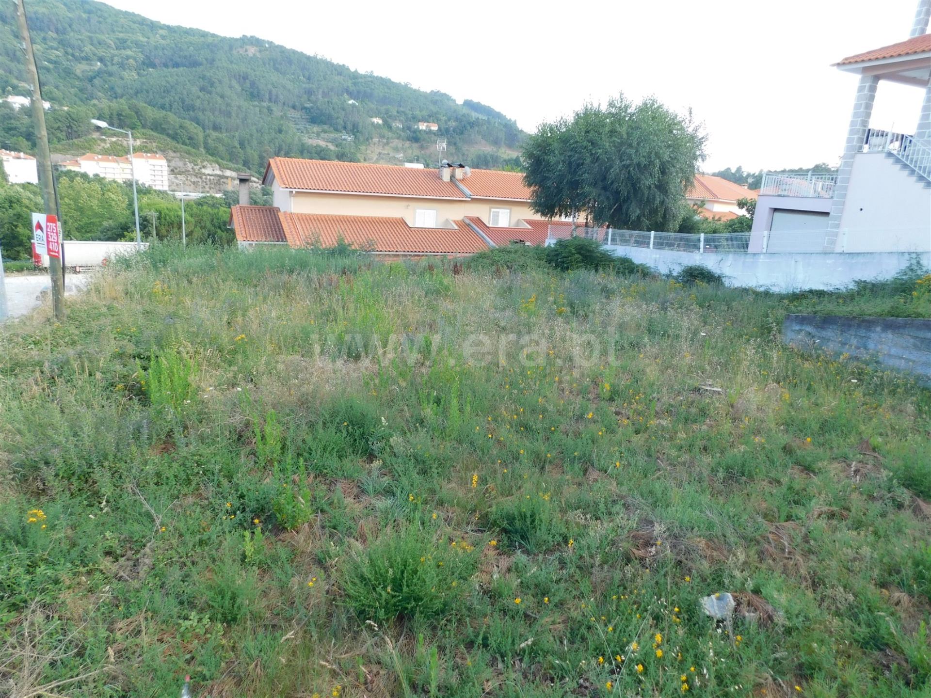Terreno 