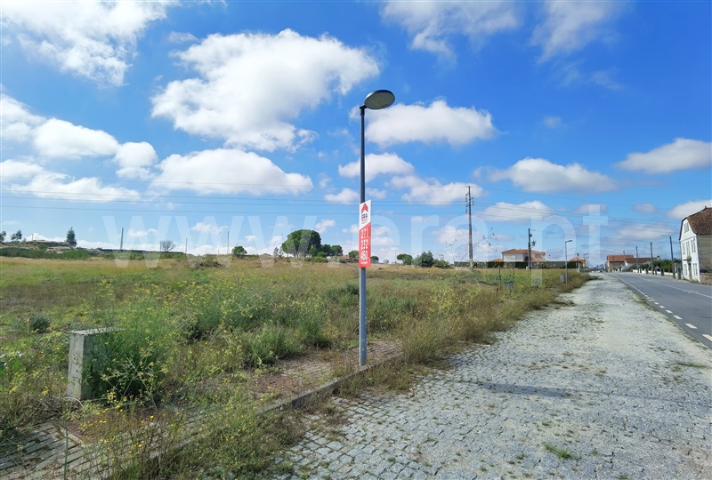 Lote / Seia, Tourais e Lajes