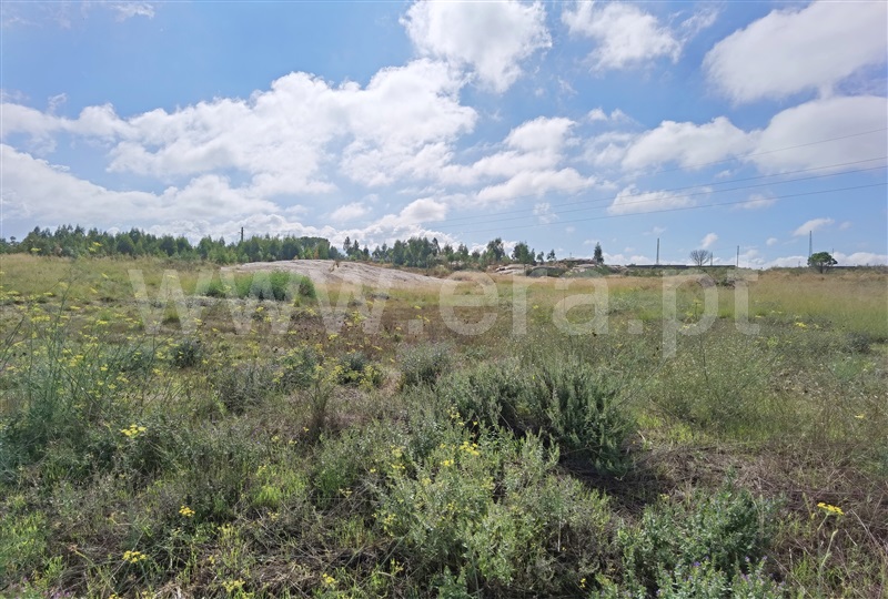 Lote  Seia, Seia - 1186757 - 5