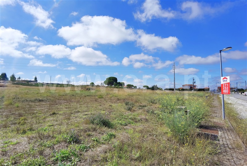 Lote  Seia, Seia - 1186757 - 6