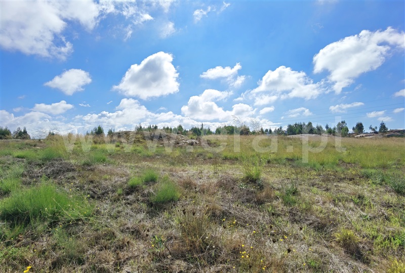 Lote  Seia, Seia - 1186757 - 12