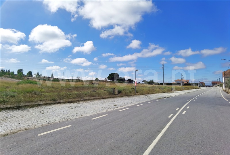 Lote  Seia, Seia - 1186757 - 15