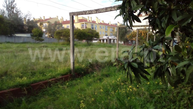 Lote  Seixal, Seixal, Arrentela e Aldeia de Paio Pires - 1295527 - 2