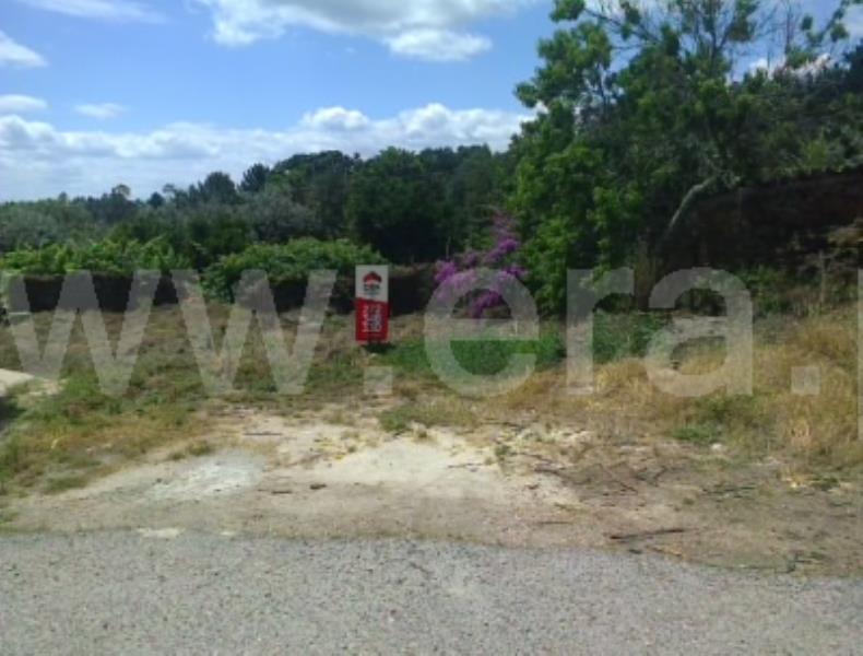 Lote / Sertã, Sertã