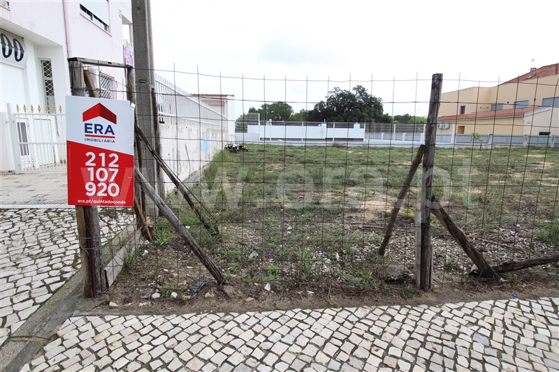 Lote / Sesimbra, Conde III