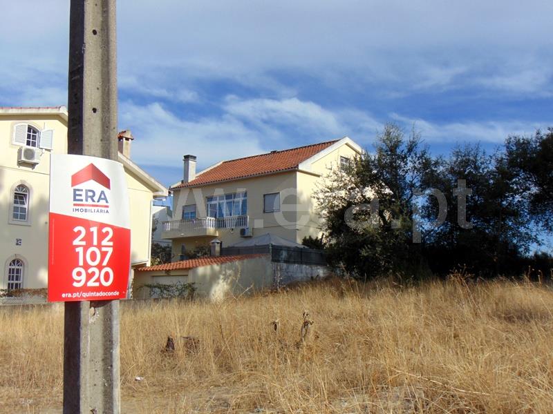 Lote / Sesimbra, Conde III