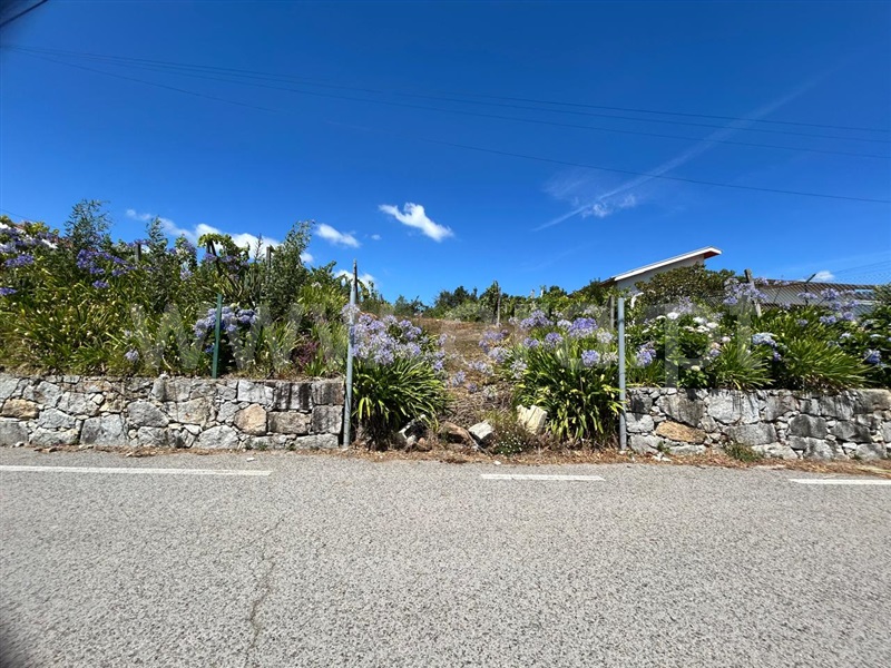 Lote  Sever do Vouga, Silva Escura e Dornelas - 1496637 - 2