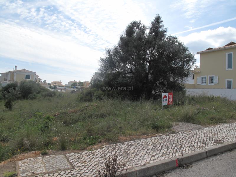 Lote  Silves, Pêra - 728373 - 3