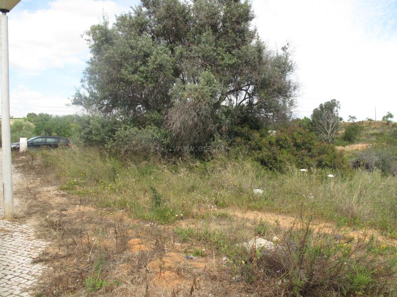 Lote  Silves, Pêra - 728373 - 5