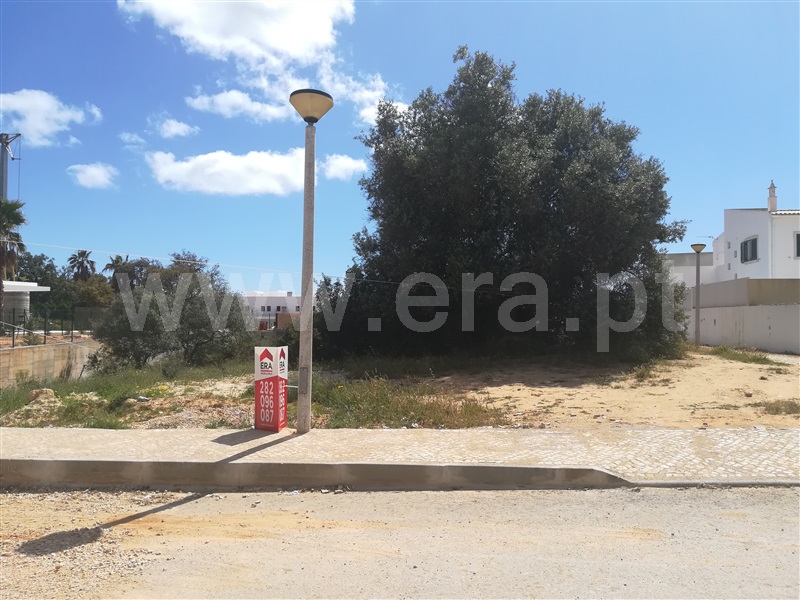 Lote  Silves, Pêra - 728373 - 6