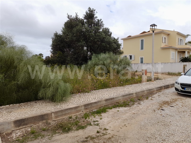 Lote / Silves, Pêra