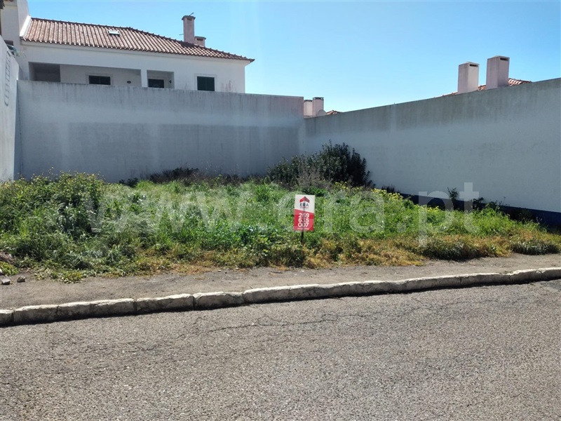 Lote / Sines, Porto Covo
