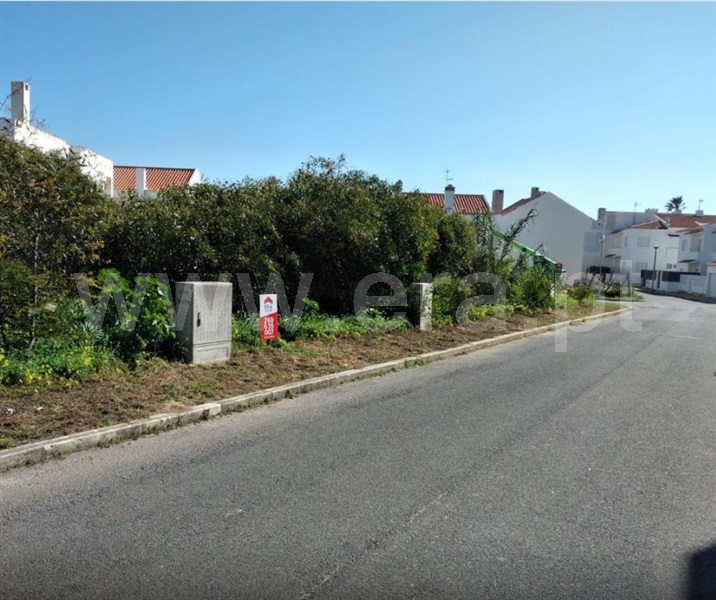 Lote / Sines, Porto Covo